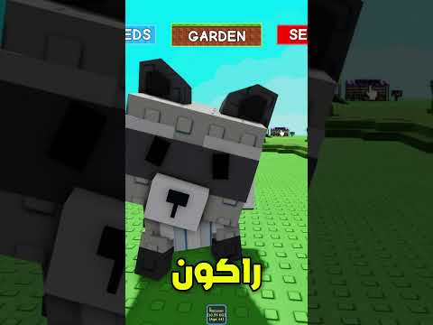 ازاي تجيب راكون ببلاش في ماب المزرعة السحب في الفيديو الكبير في القناة اوعي يفوتك