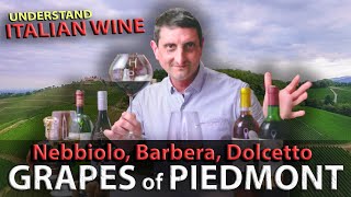 Piedmont's Wine TRILOGY: Nebbiolo, Barbera, Dolcetto | Italian Wine 101