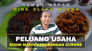 Grilled Gourami Business, Quality Guaranteed, Huge Revenue | Mina Elang Buana Restaurant | Ep 52 ...