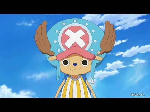 15 Things You Didn't Know About Tony Chopper