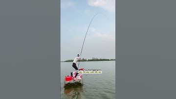 gái xinh chỉ biết bất lực nhìn cần bị lôi đi  #fishing #cauca #fishinglife#xuhuong #giảitrí