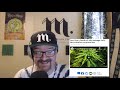 Cannabis News - Fueling the Black Market | Ep. 444 | 07-18-2019
