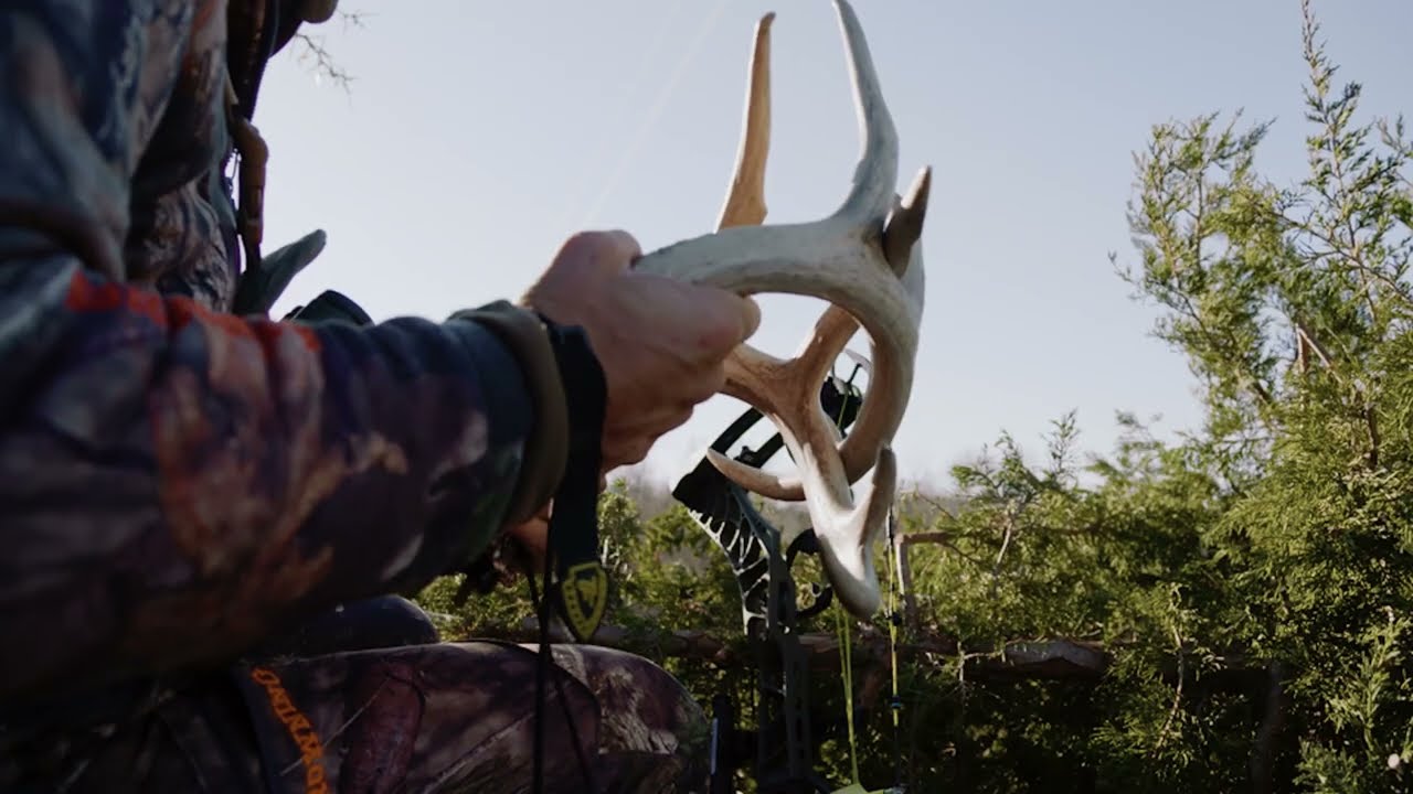 Hunting the Rut - Adrenaline Rush Time