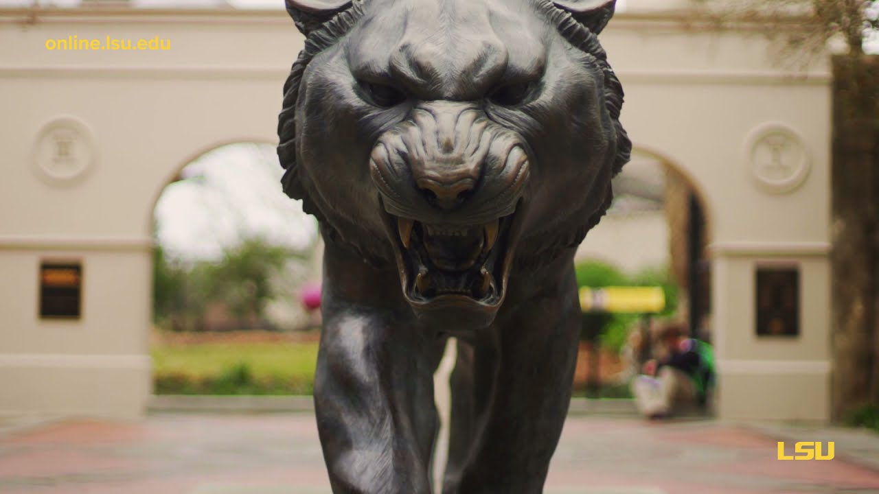 Flexible Online Degree Format