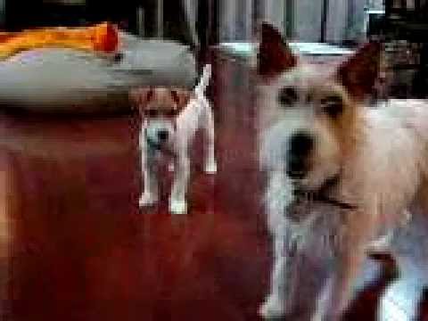 MIX - YouTube