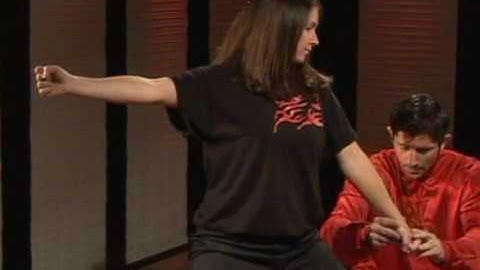 Kung Fu Tan Tui Forearm Block Reverse Punch