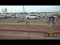 سباق الحقاقه الهباب 16 9 2022 ش1 طيش لـ محمد عبيد علي عبدالله معدن اجتبي 3 00
