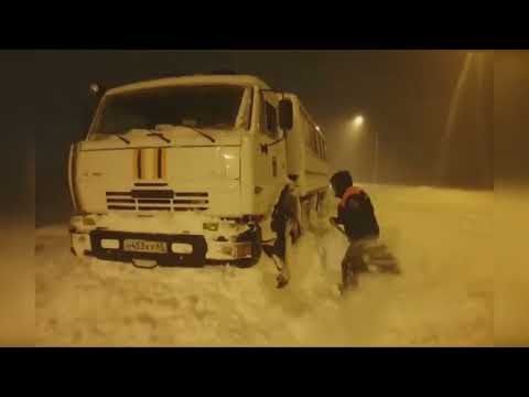 Video: Medvedka obyčejná – bouřka světa rostlin