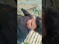 Fun in adventure park😂 the lie world vlogs