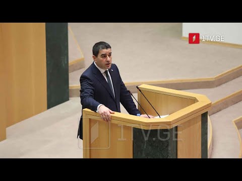 შალვა პაპუაშვილის ანგარიში - დებატები პარლამენტში