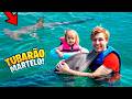 VIMOS de PERTO GOLFINHOS na PRAIA! Família Também Vloga