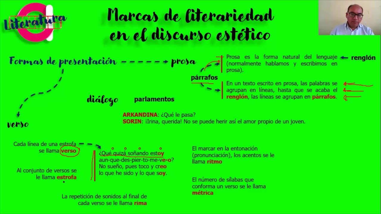 Marcas De Literariedad En El Discurso Estetico