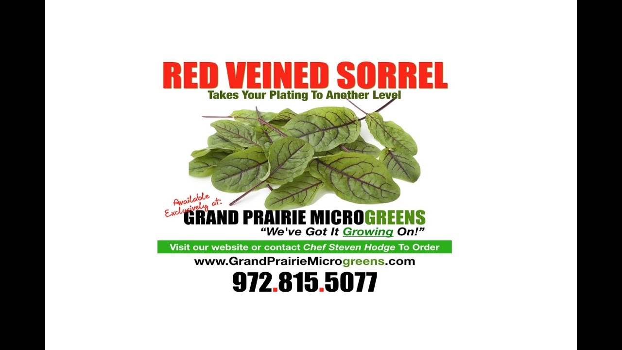 GRAND PRAIRIE MICROGREENS | DALLAS FARMERS MARKET