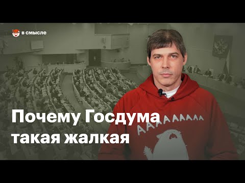 Почему Госдума настолько послушная | В смысле