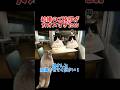 【猫ミーム】結婚のご挨拶のはずが両親もぶっ飛んでた！ww #shorts #猫ミーム