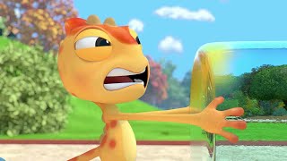 Curiosity | Cam & Leon | Best Collection Cartoon for Kids | New Episodes