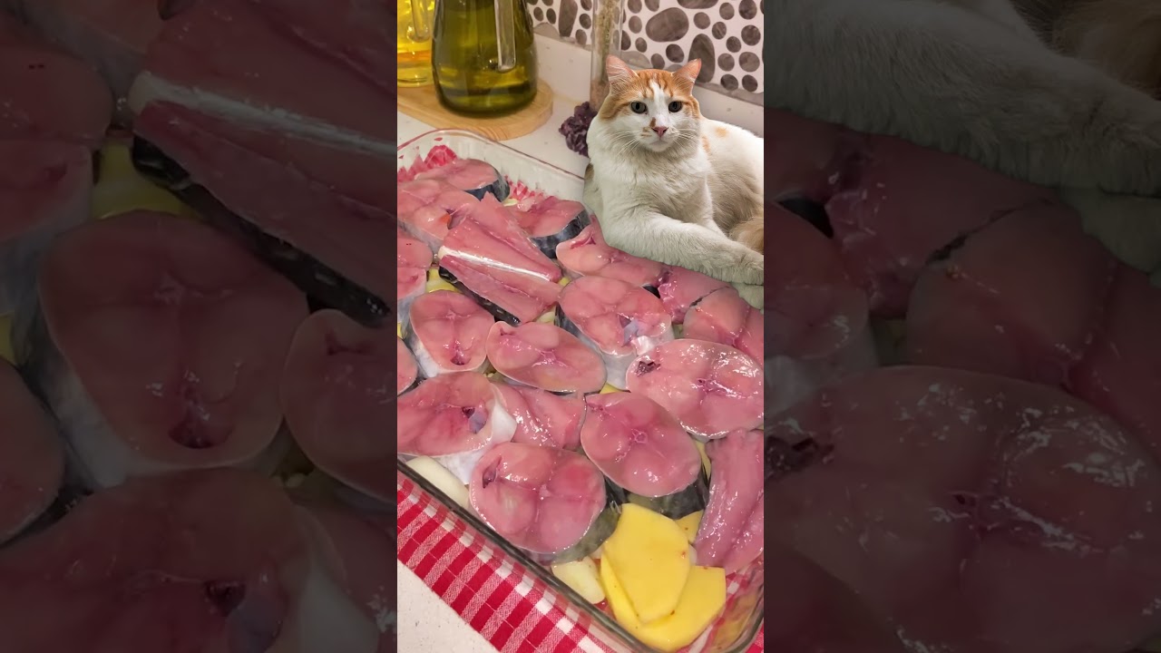Fırında Balık Tarifi | Sağlıklı ve Lezzetli Yemek Tarifi ????| GÜLNUR'UN GÜLLÜ MUTFAĞI????#pratiktarifler Fırında Balık Tarifi | Sağlıklı ve Lezzetli Yemek Tarifi ????| GÜLNUR'UN GÜLLÜ MUTFAĞI????#pratiktarifler