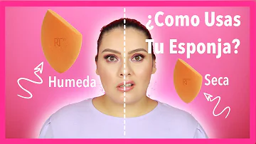 ¿Es mejor dejar una esponja húmeda o seca?