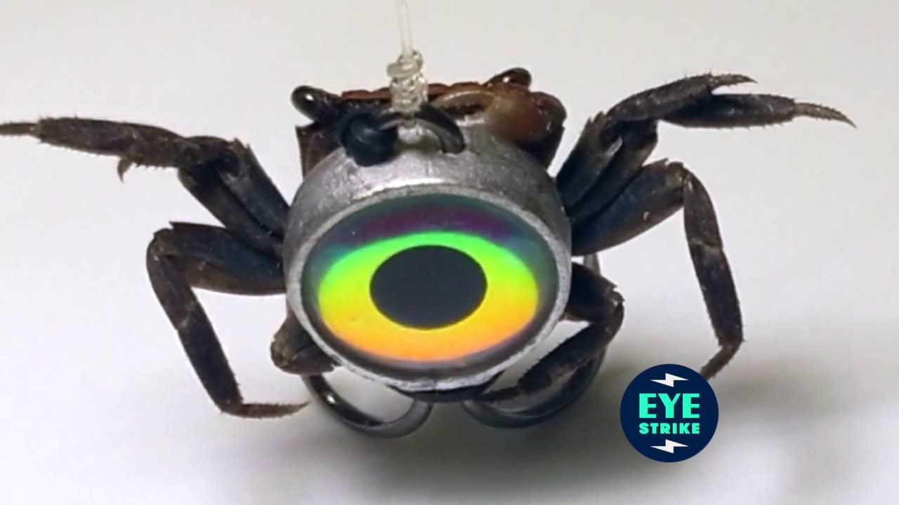 Jail Bait Rigging Tips YouTube