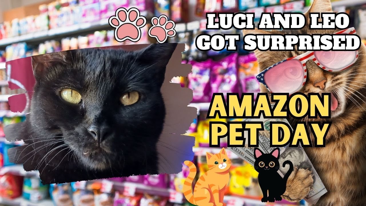 🐾 Luci & Leo's Amazon Pet Day Haul! New Beds, Cat Tree, and More! 🐾