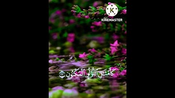 القارئ: عمير شميم //حالات واتس اب دينية //