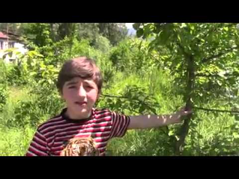 ურავის საჯარო სკოლის ეკოკლუბი