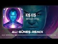 Serdar Ortaç Kış Kış Ali Güneş Remix