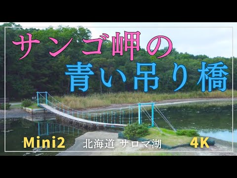 【サンゴ岬の青い吊り橋 サロマ湖 湧別町 】サギ 野鳥 北海道  ドローン DJI Mini2  4K   Drone サンゴ草 観光