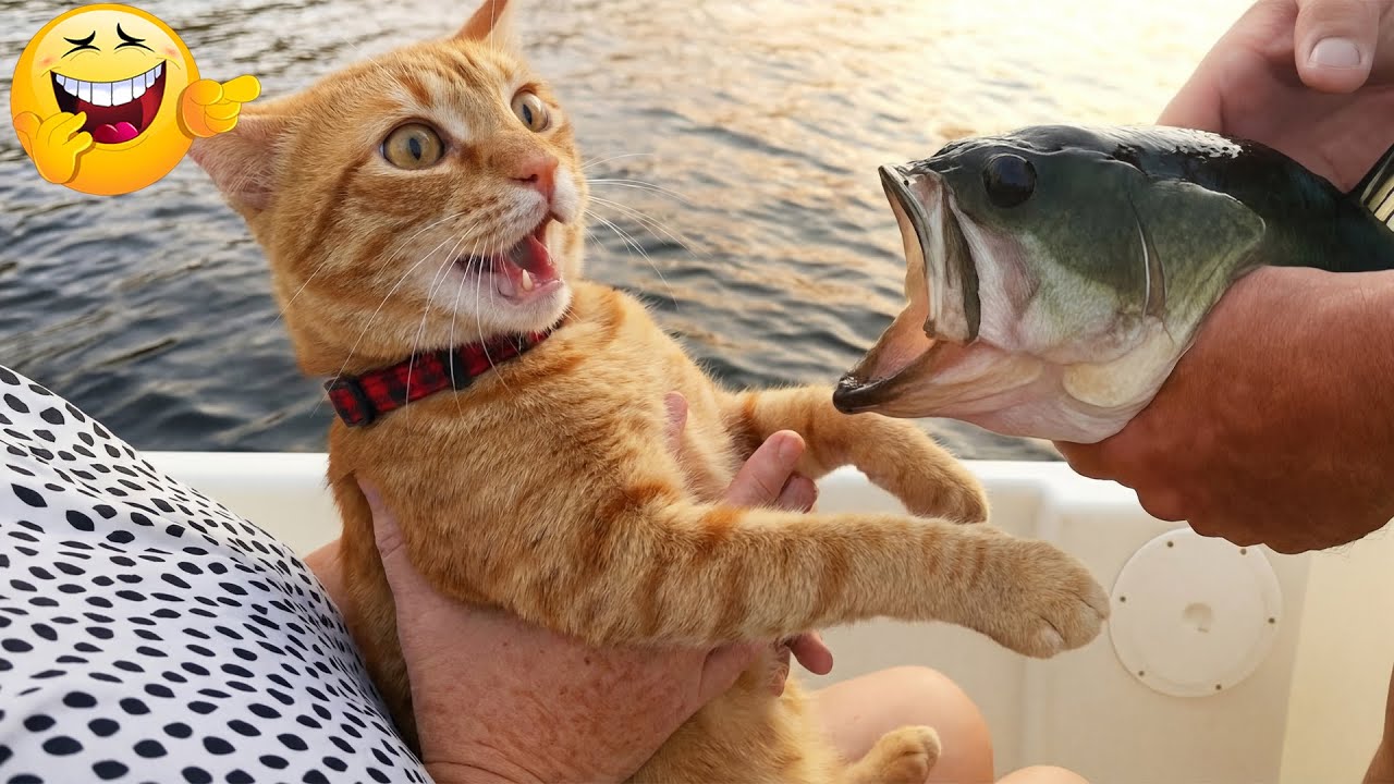 You Laugh You Lose 😂 Funniest Cats and Dogs 2026 😅