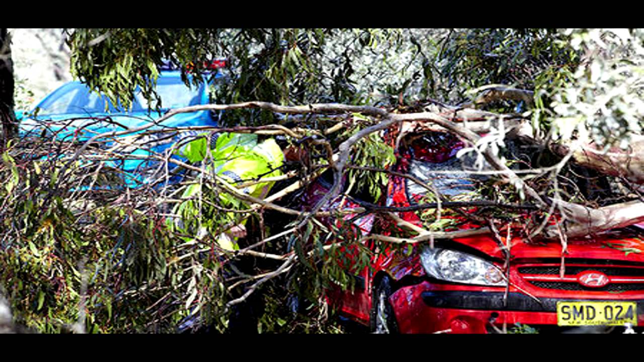 Home and Away Spoiler Pictures Episode 5376 5380 YouTube