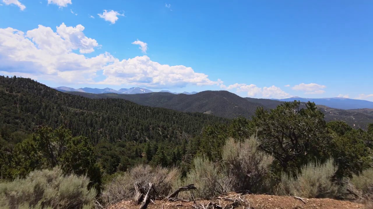 10.09 Acres Colorado Land for Sale YouTube