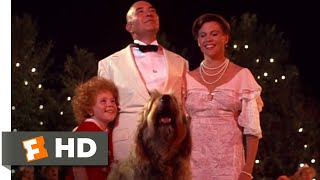 Annie (1982) - I Don't Need Anything But You / Tomorrow Scene (10/10) | Movieclips