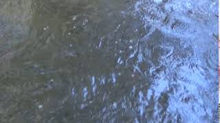 Looping River Animation - Royalty Free