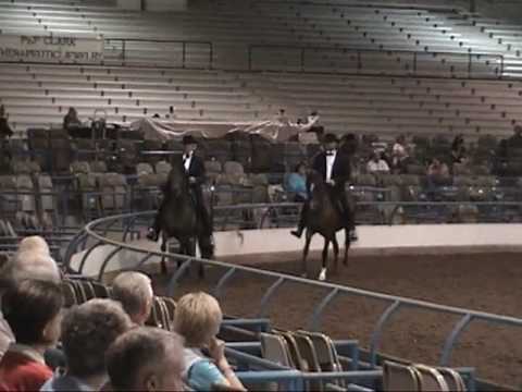 2009 TN Valley PFHA Performance Geldings Class Festival del Voluntario Espiritu