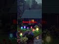 #rainsounds #flowerblossom