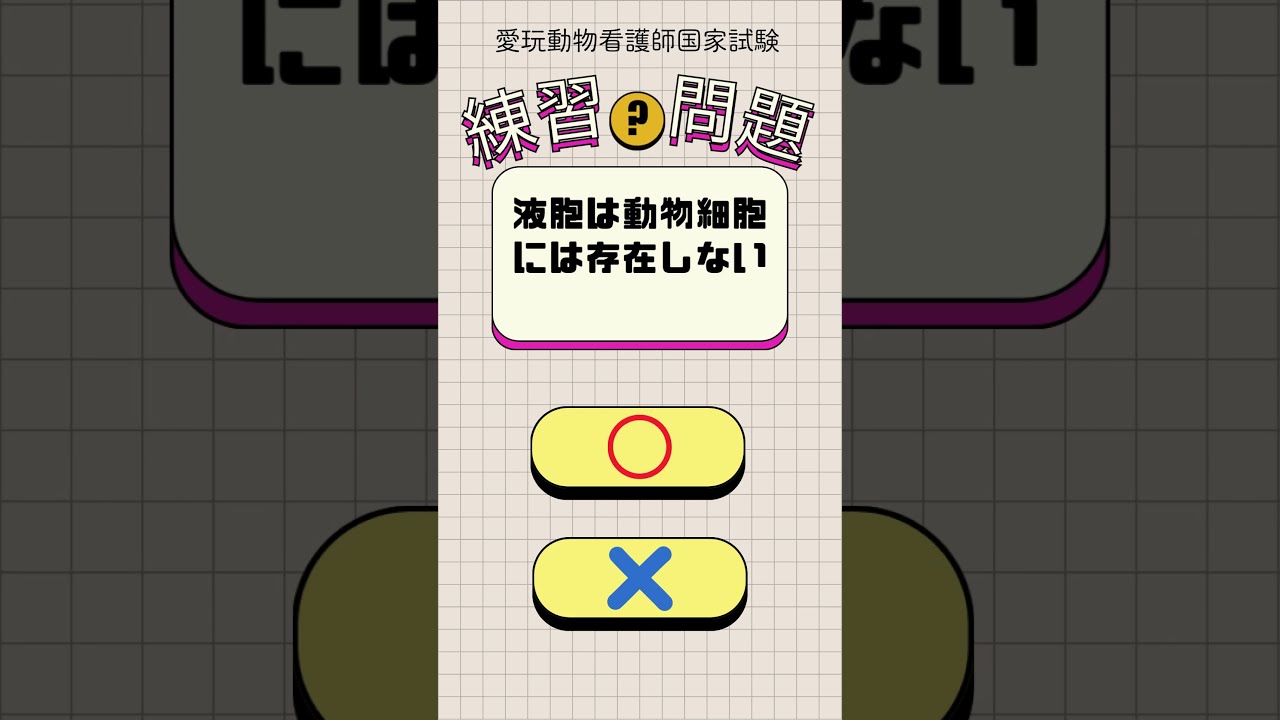 愛玩動物看護師#国家試験対策 #練習問題 #雑学 #動物看護師
