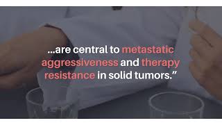 Oncotarget Potential Mechanisms Of Resistance To Emt