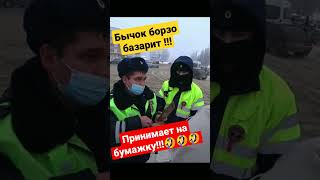 Борзые Бычки такого не ожидали/ ДПС ГИБДД #shorts