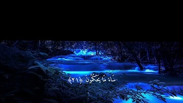 سورة الجاثية كاملة بصوت القارئ أحمد خضر .. 45 ..