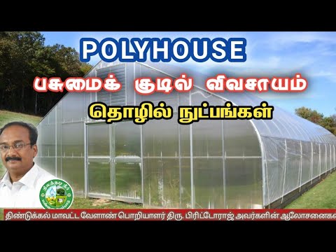 POLYHOUSE - பசுமைக்குடில் விவசாய  தொழில்நுட்பங்கள் - பிரிட்டோராஜ்