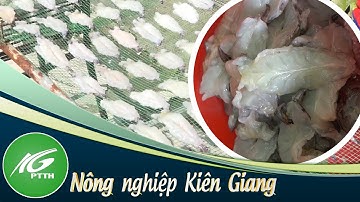 Lình Huỳnh phát triển nghề làm tôm khô xẻ | THKG