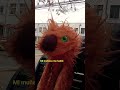 mi muñeca me habló 😄😄😄😄😄