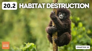 IGCSE Biology - Habitat destruction (20.2)
