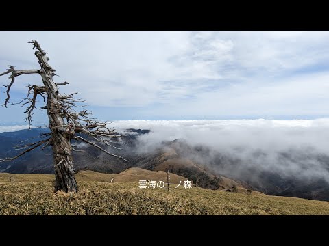 雲海を眺めならがら、テントを張ってダラダラしてきました。　2023年3月22日