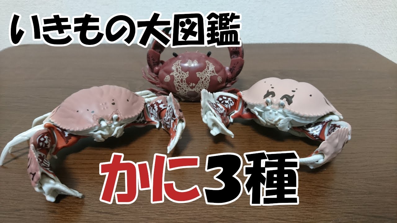 いきもの大図鑑「かに」残りの3種をやっと入手できたので紹介します