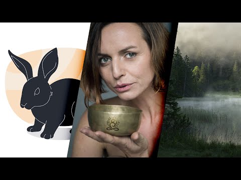 2023 rok Vodního zajíce