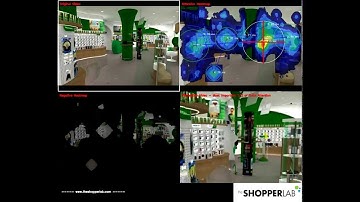 Eyetracking Simulation vs Bee Swarm Real Eyetracking data - MEGAFON