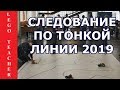 Разминка роботов. Гонки по линии 2019. Не каждый робот дойдет до финиша