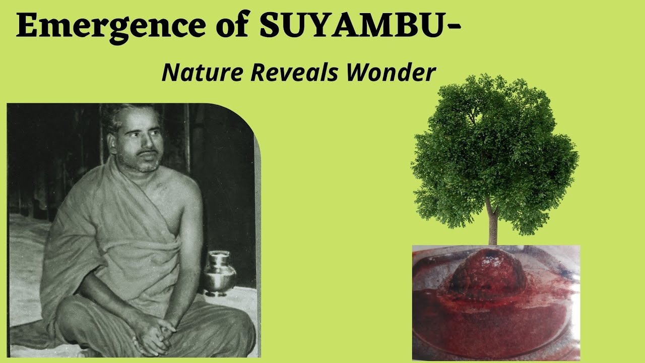 Nature reveals Wonder | Body, Mind and Soul in harmony | June 3, 2021 | Om Sakthi Global