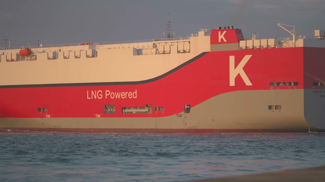 船長　OUR 2025年最新】マリン ホロカ ourの人気アイテム - メルカリ